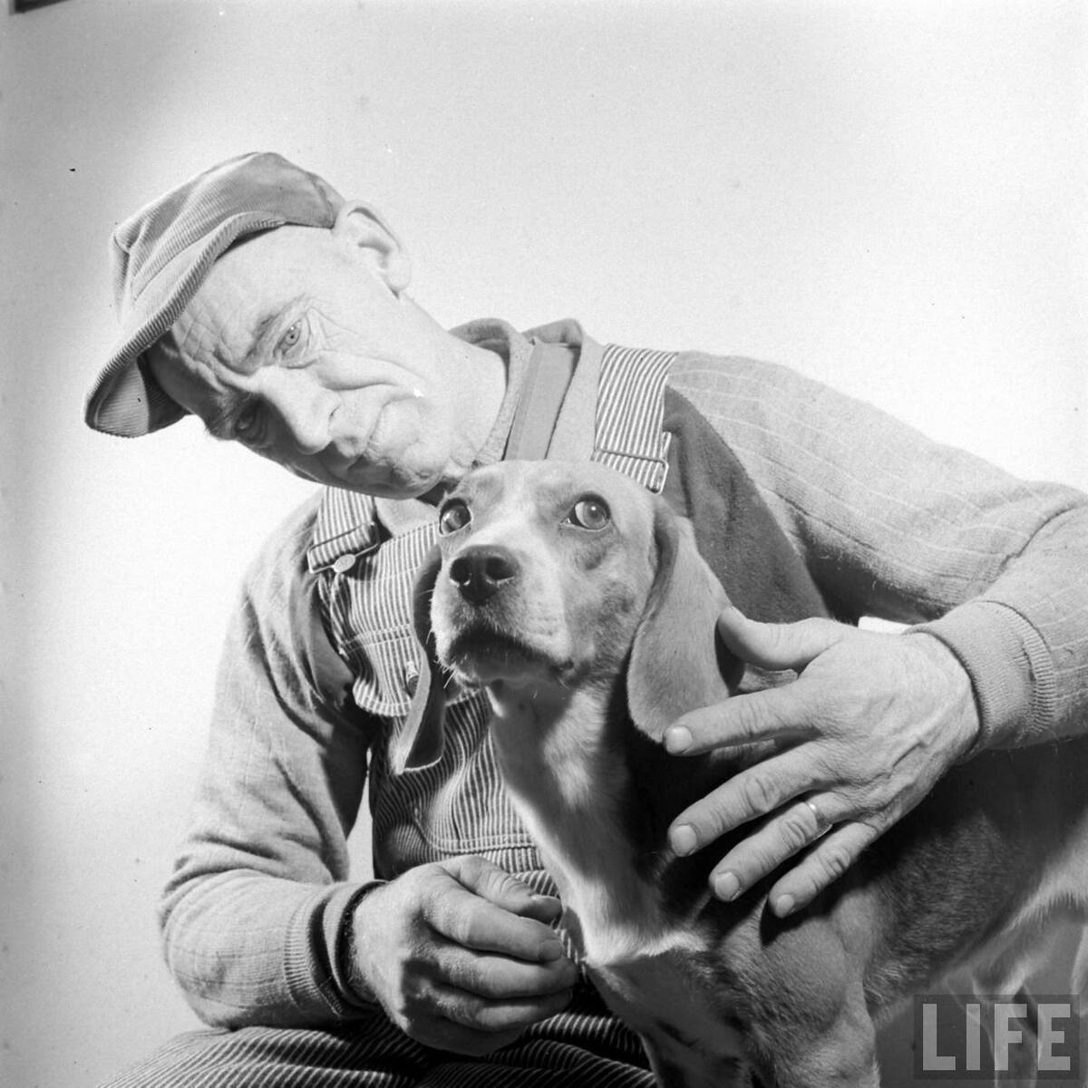 Beagle Hounds, Du Pont Estate - February 1940 - By Hansel Mieth, Life magazine - 45.jpg