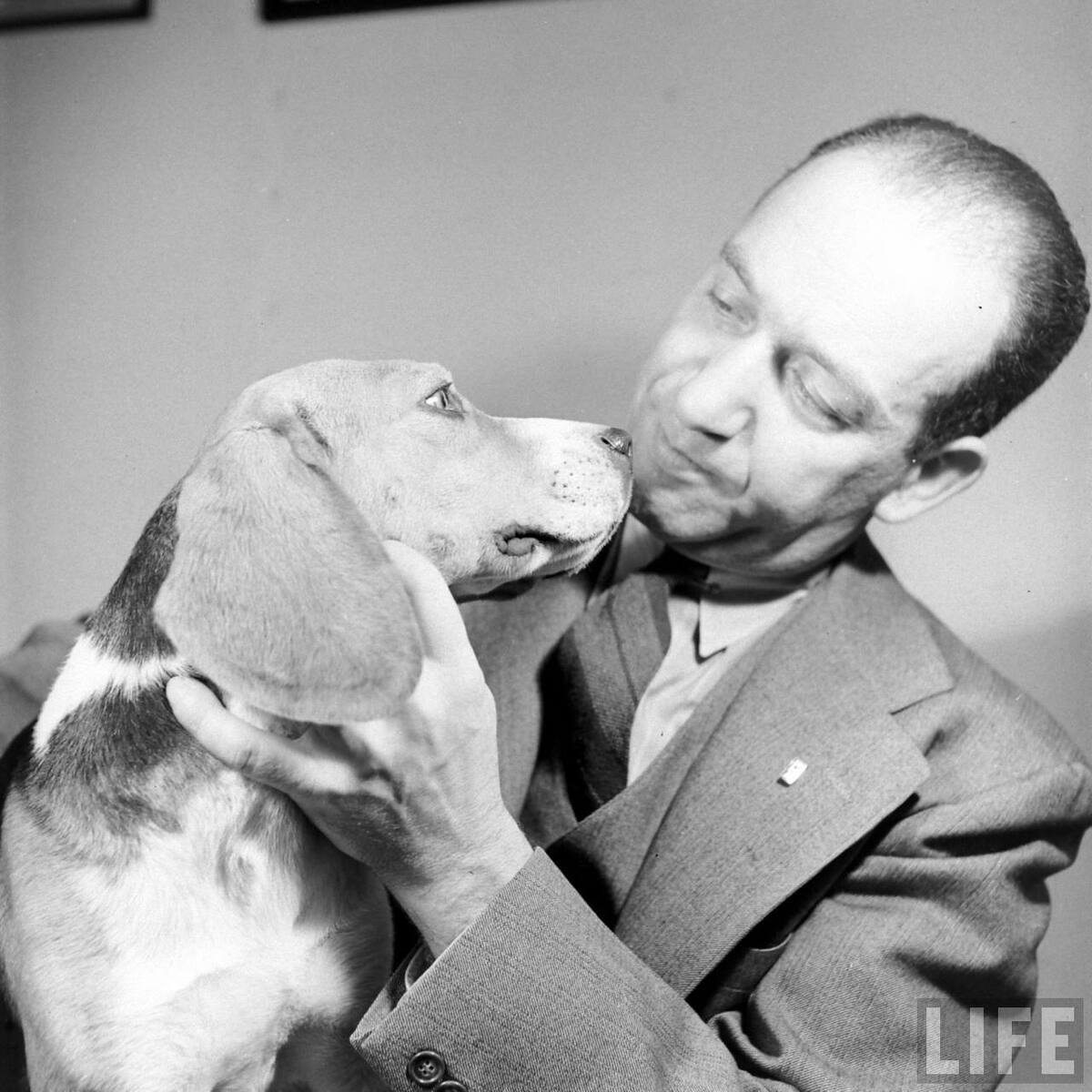 Beagle Hounds, Du Pont Estate - February 1940 - By Hansel Mieth, Life magazine - 24.jpg
