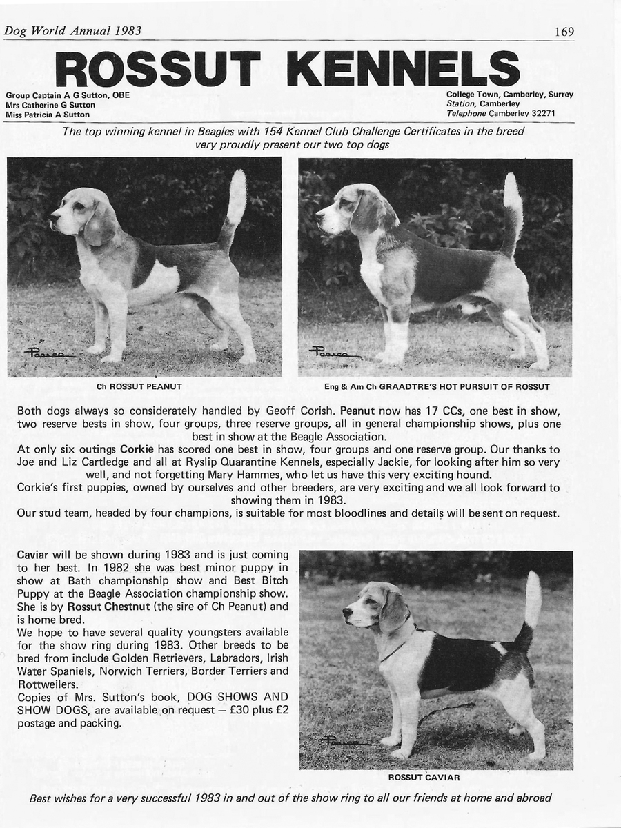 Rossut Kennels advert5.jpg