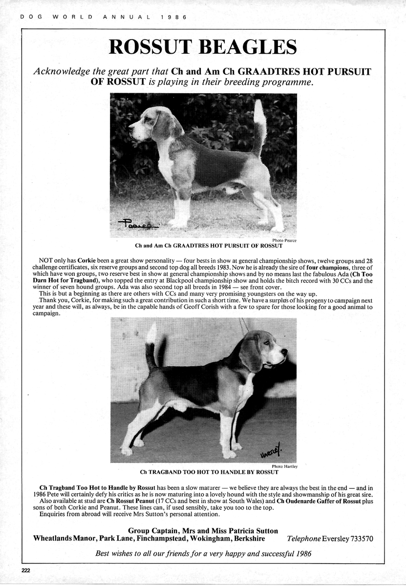 Rossut Kennels advert8.jpg