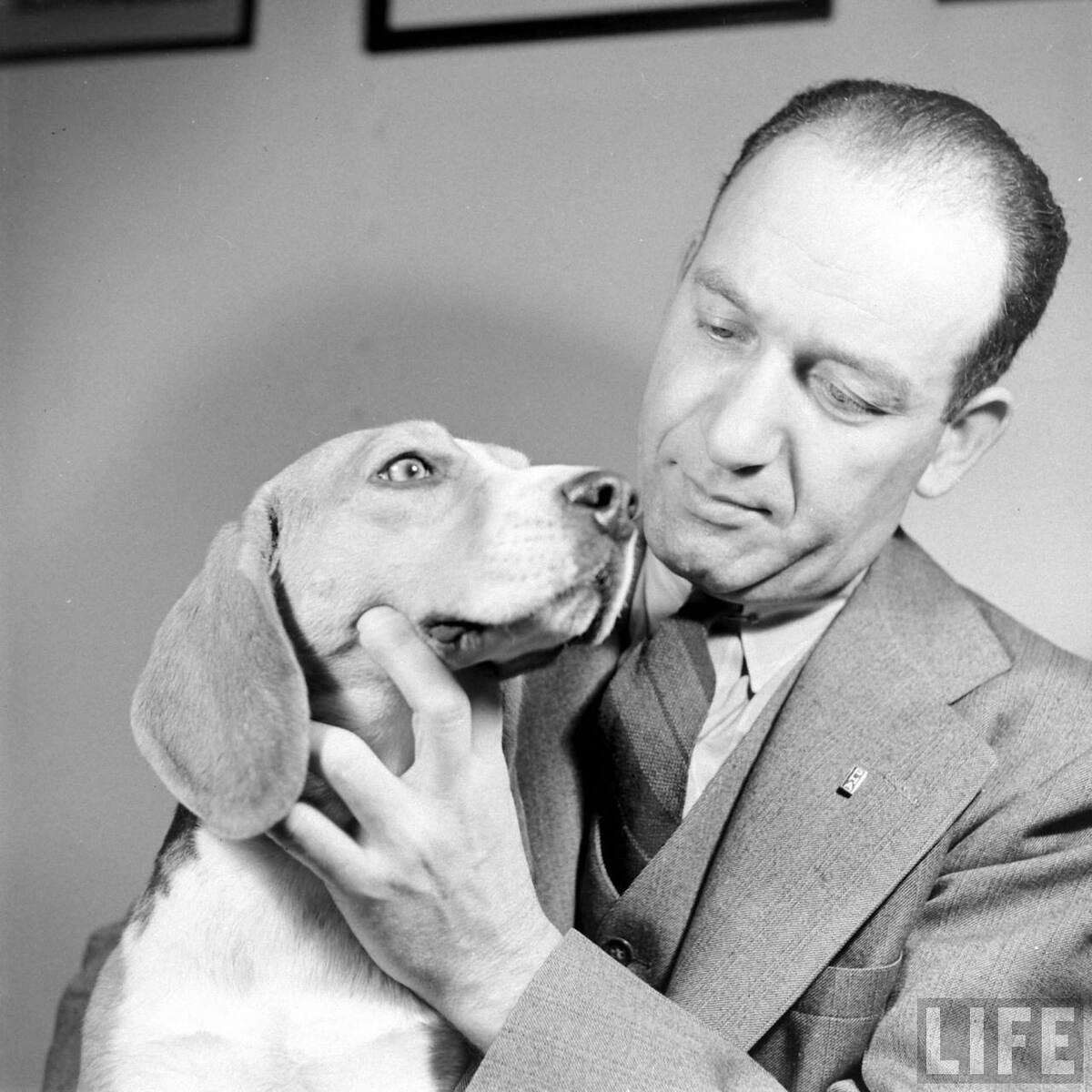 Beagle Hounds, Du Pont Estate - February 1940 - By Hansel Mieth, Life magazine - 32.jpg