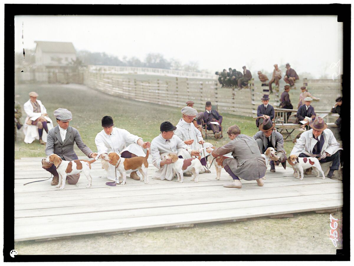 05028a G-Colorized.jpg