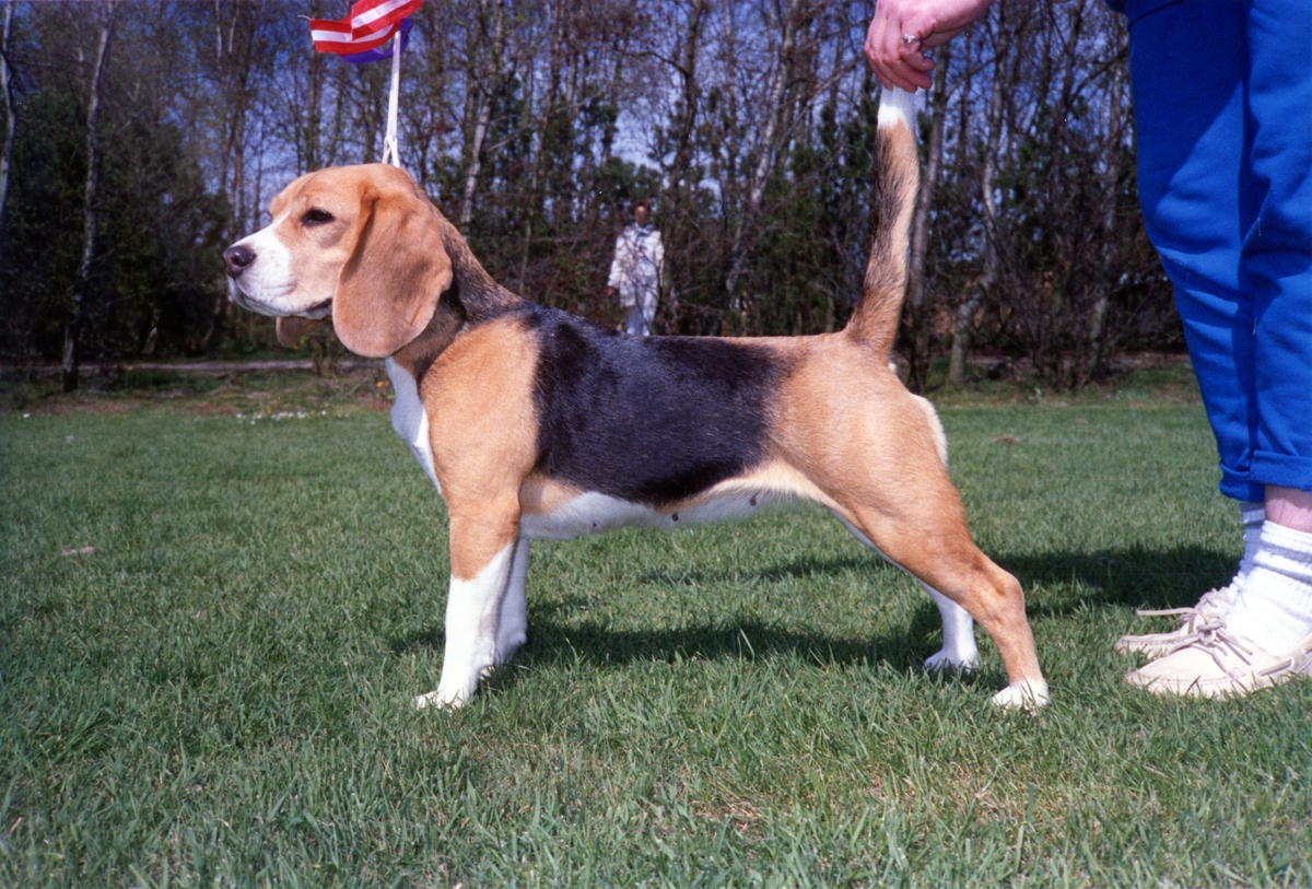 Daisy Hills Bly Bothilde, 1988.jpg