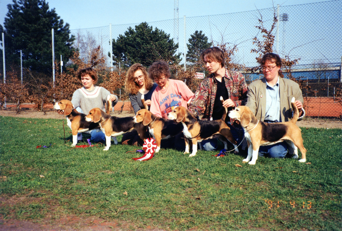 Best Breeders Class Vording 1991. Left to right, Daisy Hills Domino, Daisy Hills Dunja, Daisy Hills Dodotea, Daisy Hills Tusindfryd, Daisy Hills Bothilde, judged by I. C. Christensen.jpg