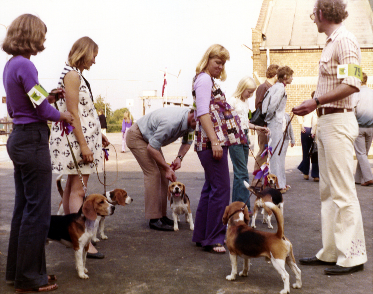 Danish Show 1973-1983.jpg