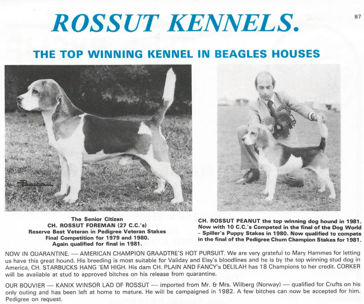 Rossut Kennels advert1.jpg