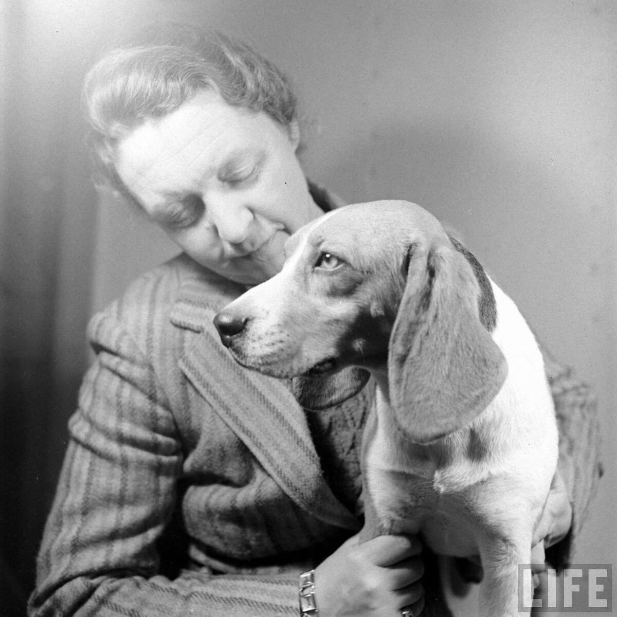 Beagle Hounds, Du Pont Estate - February 1940 - By Hansel Mieth, Life magazine - 47.jpg
