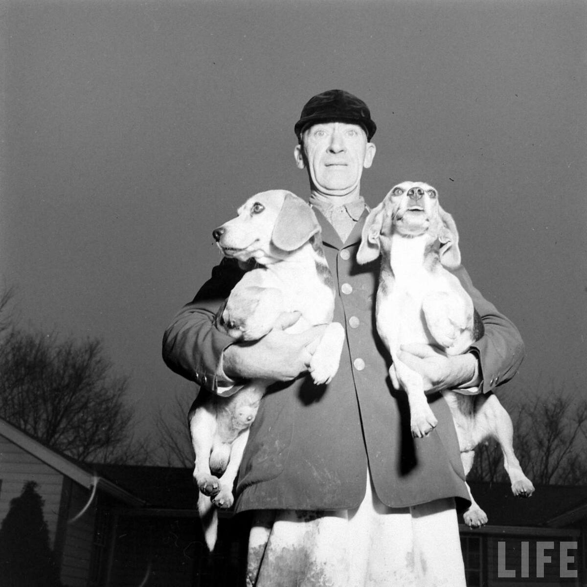 Beagle Hounds, Du Pont Estate - February 1940 - By Hansel Mieth, Life magazine - 4.jpg