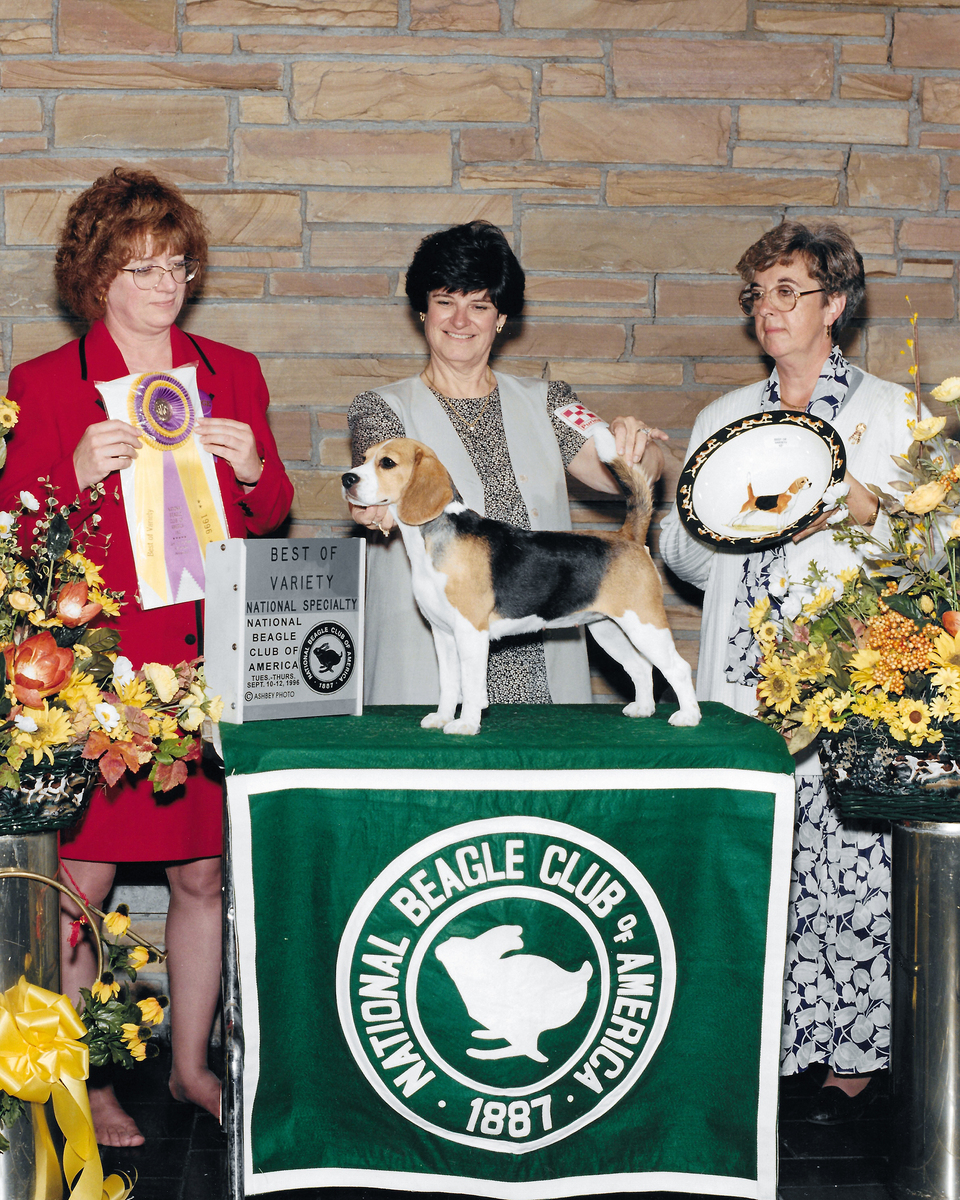 shaws share the spirit.jpg