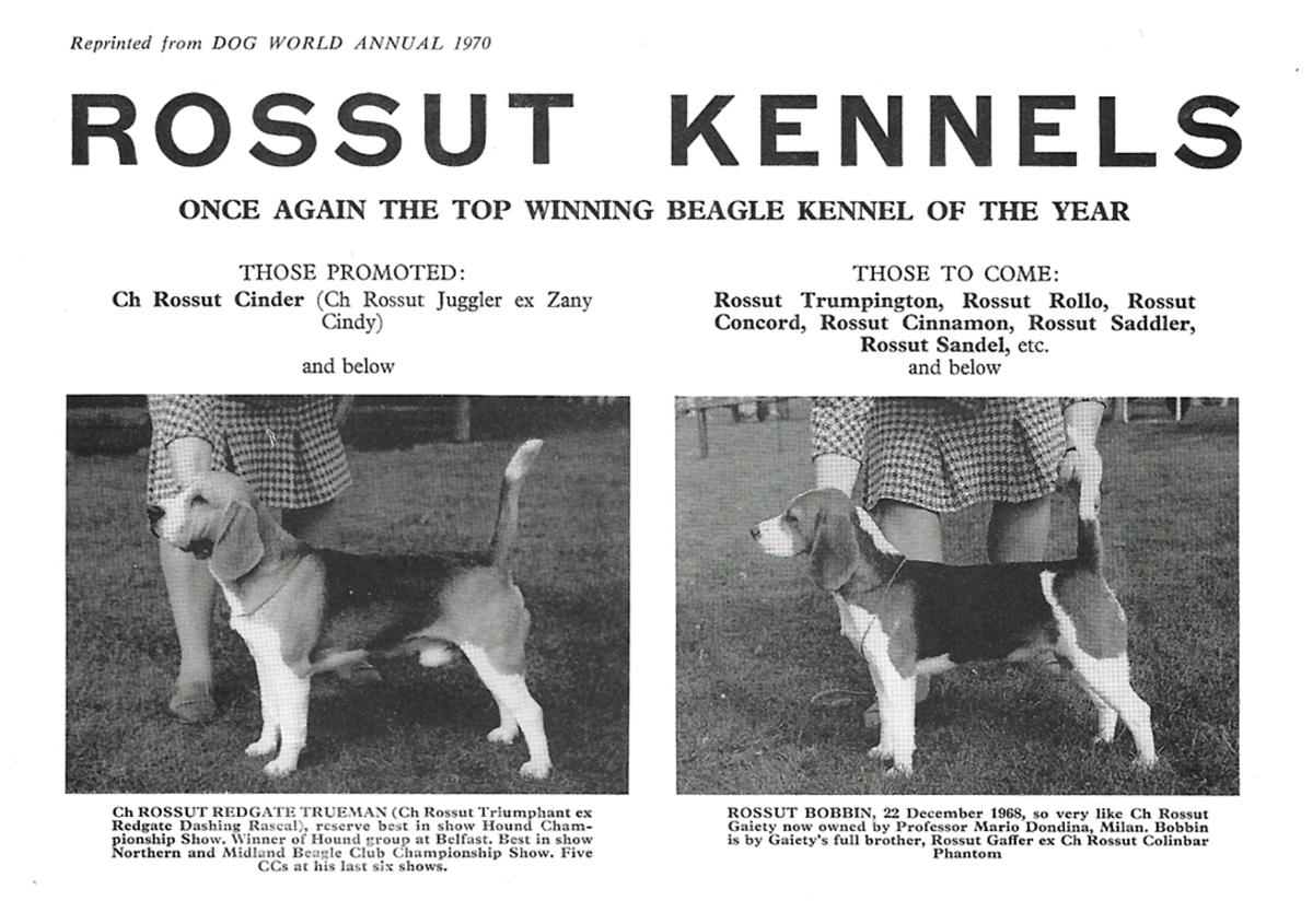 Rossut Kennels advert15.jpg