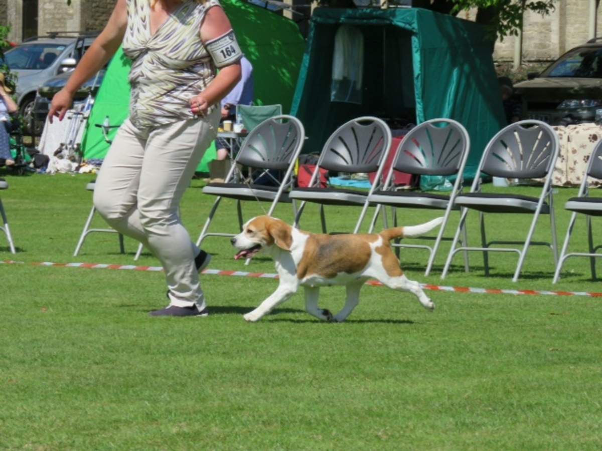 IMG_1514.JPG