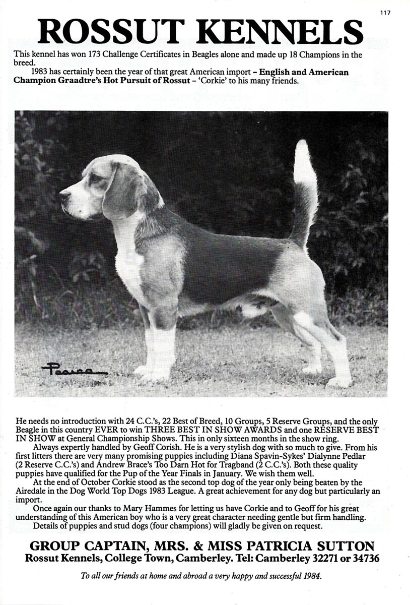 Rossut Kennels advert4.jpg