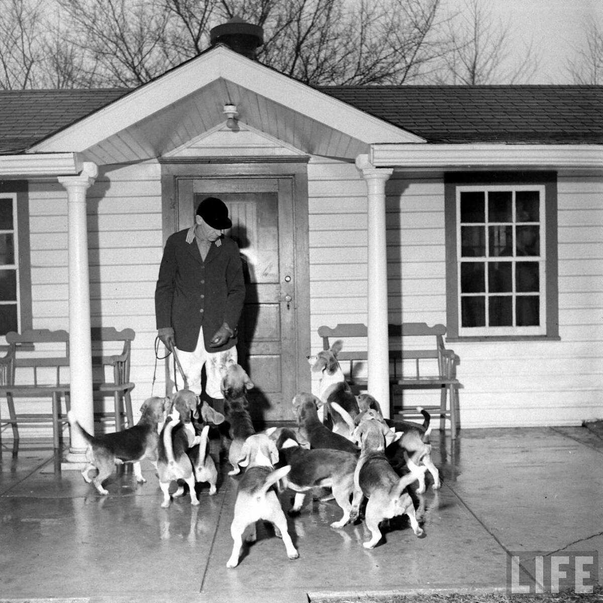 Beagle Hounds, Du Pont Estate - February 1940 - By Hansel Mieth, Life magazine - 8.jpg