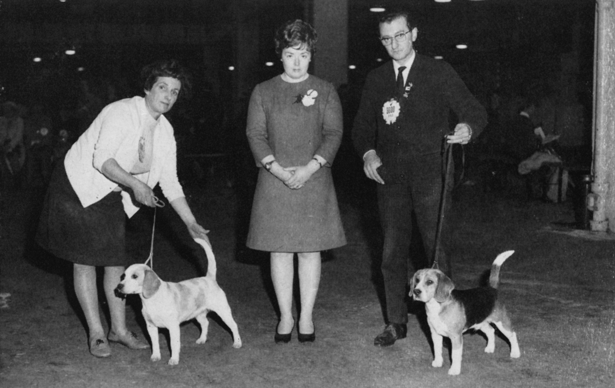Richmond Championship Show judged by Carol Appleton.jpg