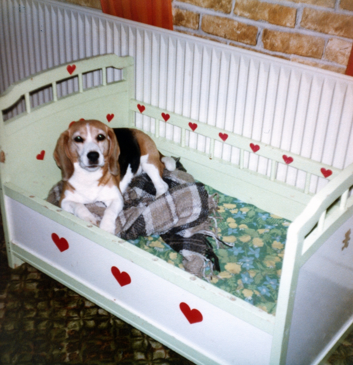 Daisy Hills Juanita - 1984.jpg