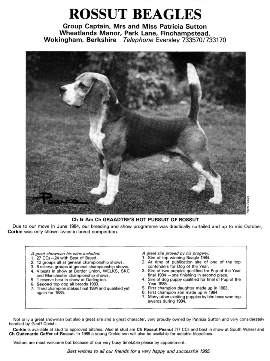 Rossut Kennels advert11.jpg