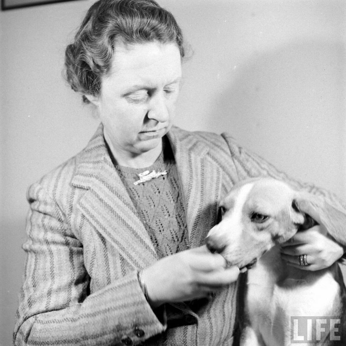 Beagle Hounds, Du Pont Estate - February 1940 - By Hansel Mieth, Life magazine - 14.jpg
