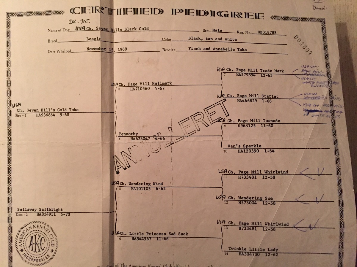 Seven Hill's Black Gold pedigree.JPG