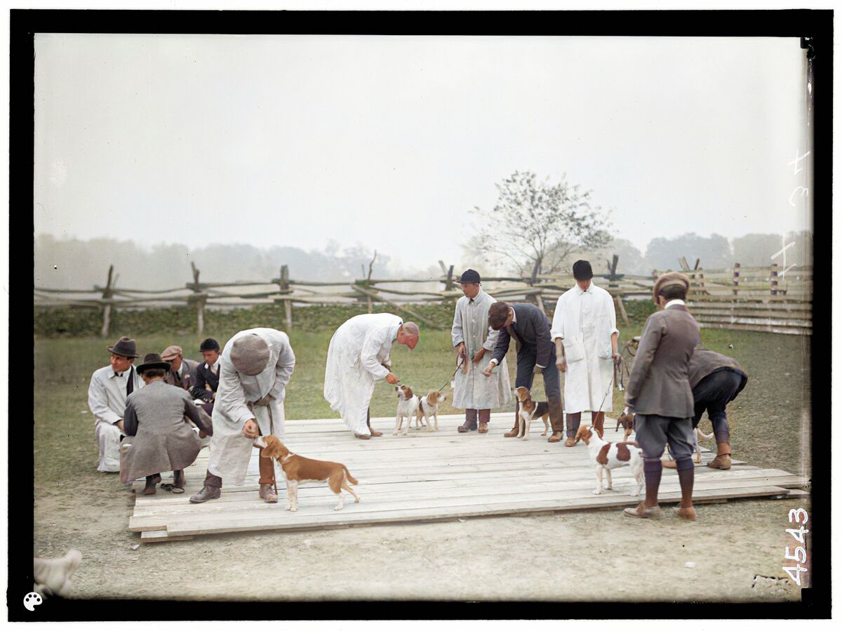 04974u-Colorized.jpg