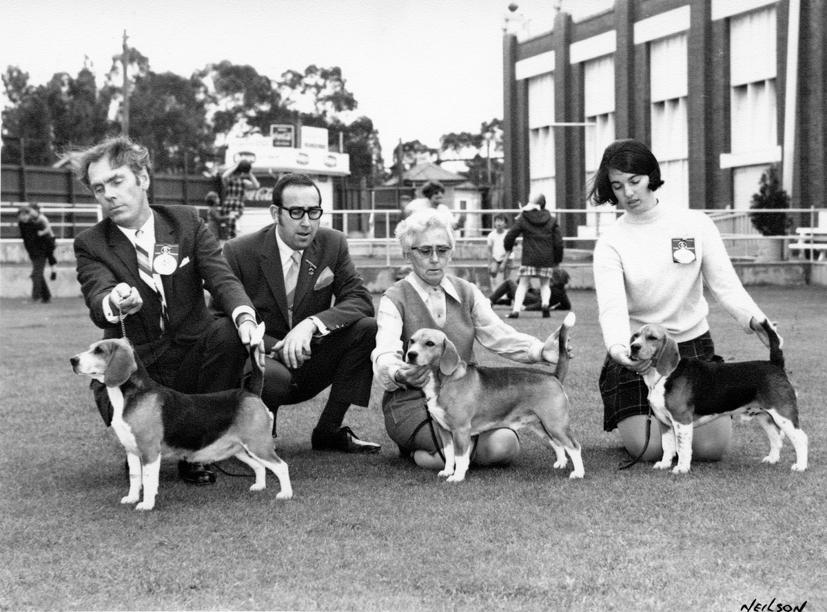 beagle club victoria 1969.jpg
