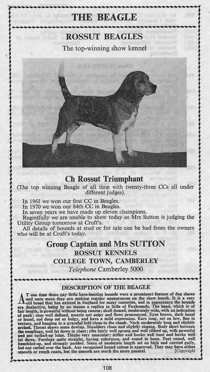 Rossut Kennels advert6.jpg