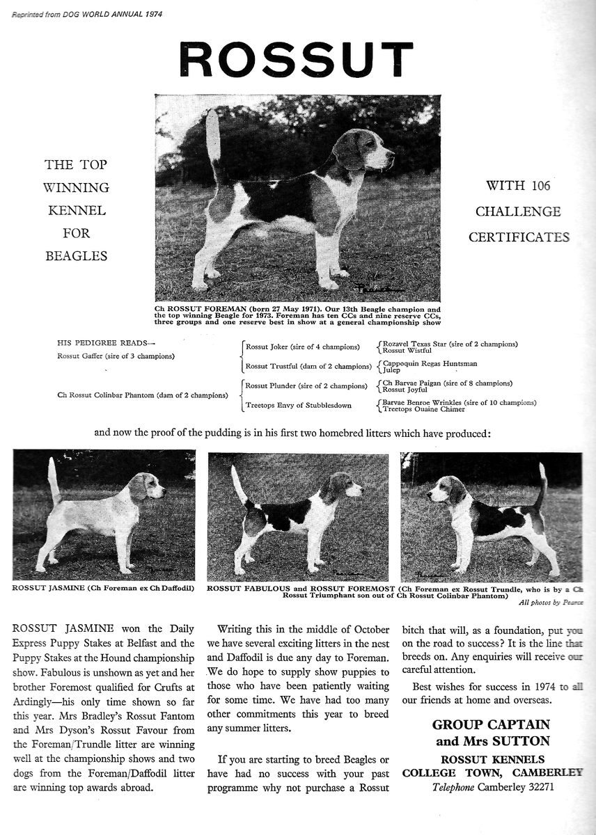 Rossut Kennels advert10.jpg