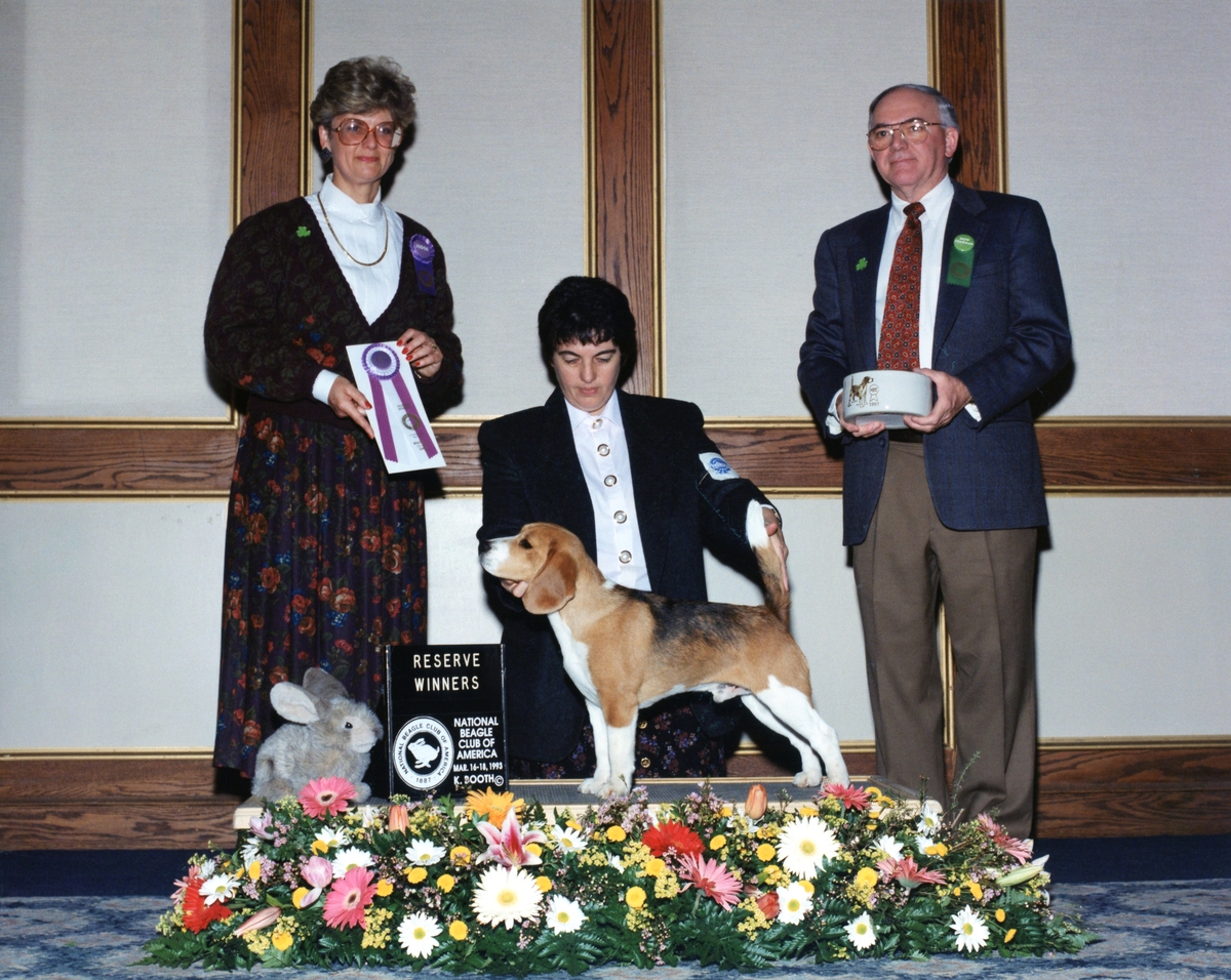 Starbuck Torbay Benchmark.jpg
