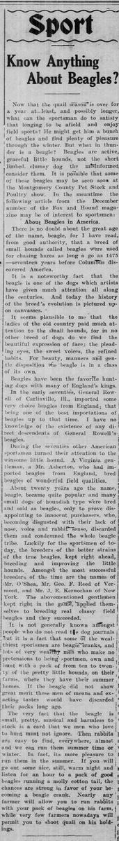The_Evening_Star_Fri__Dec_15__1911_.jpg