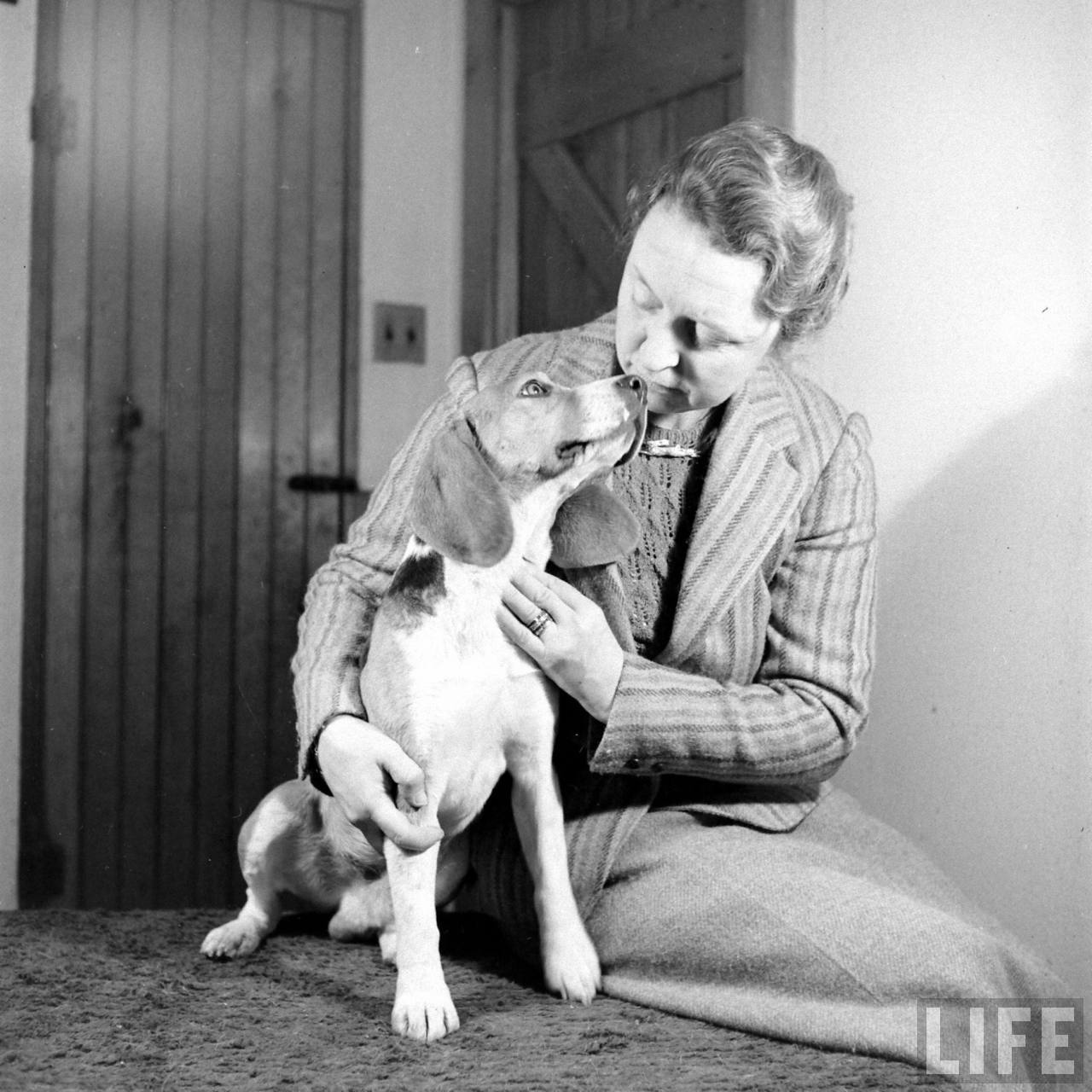 Beagle Hounds, Du Pont Estate - February 1940 - By Hansel Mieth, Life magazine - 15.jpg