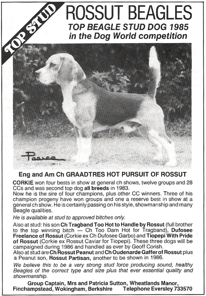 Rossut Kennels advert9.jpg