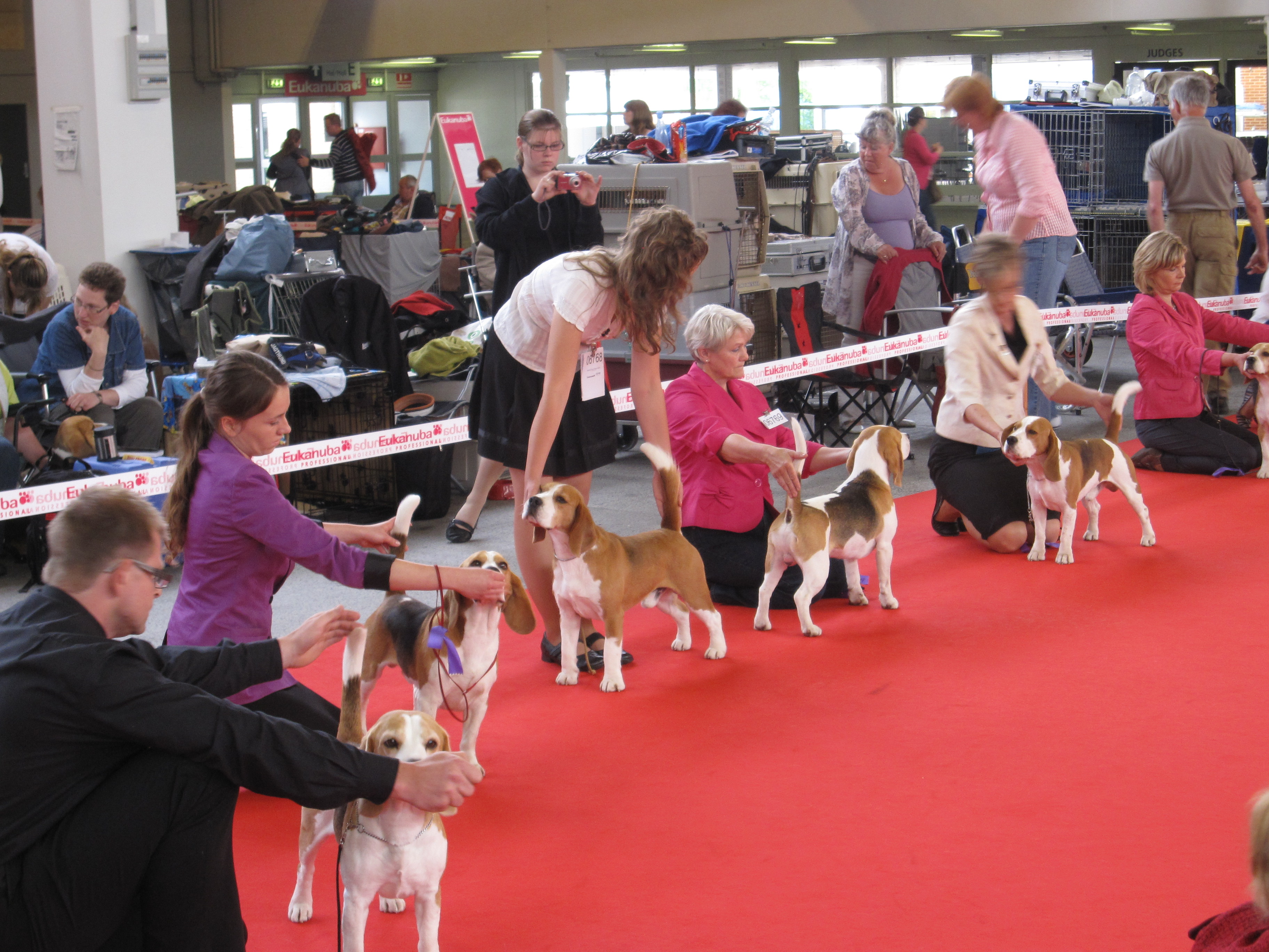 World Dog Show 2010 in Herning, Denmark