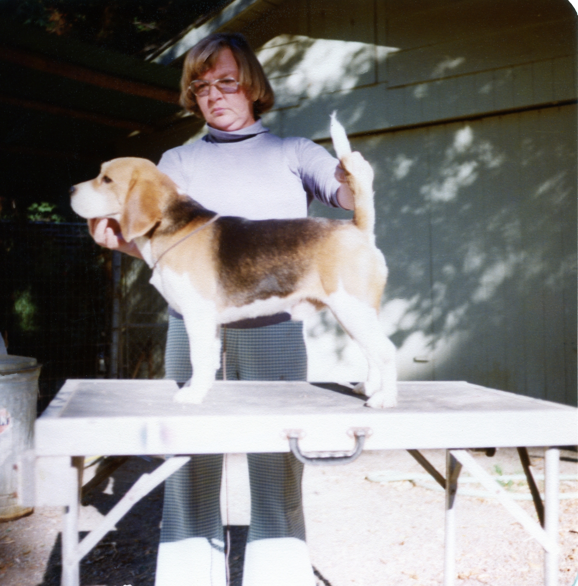 Jana Nassau of Page Mill 2.jpg