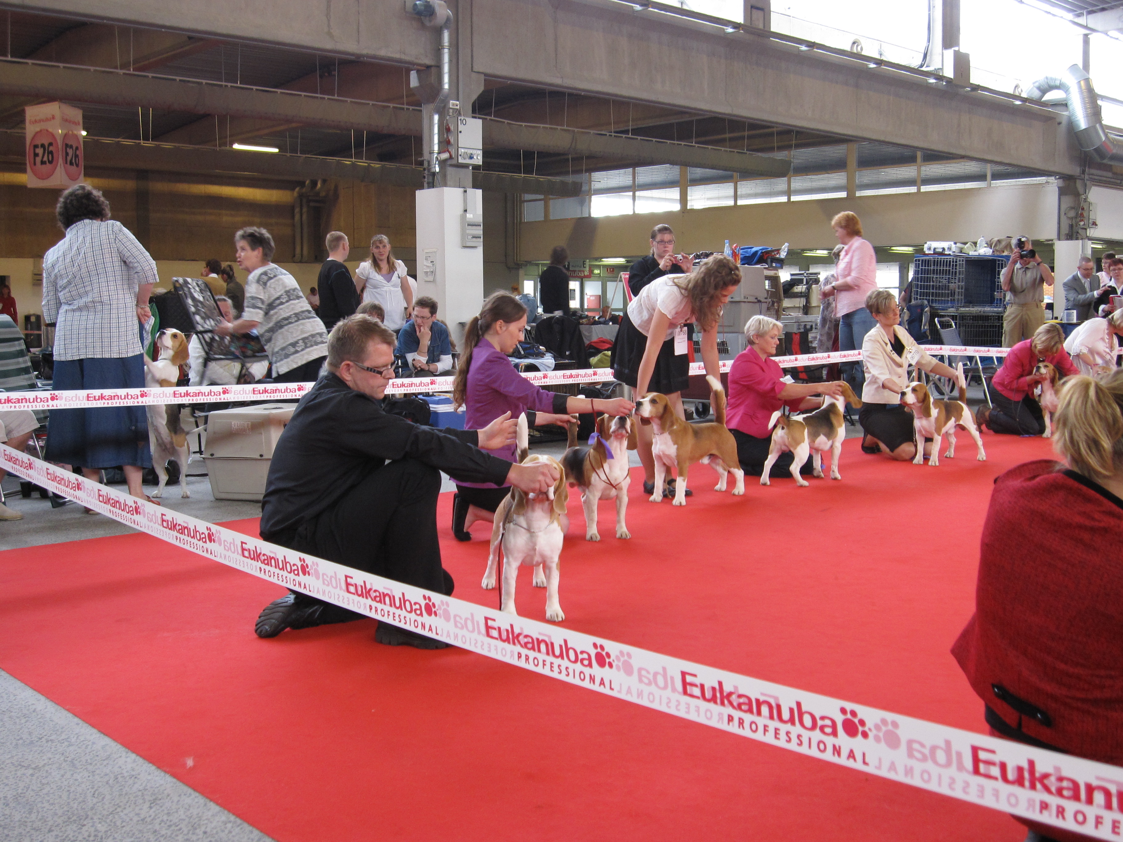 World Dog Show 2010 in Herning, Denmark