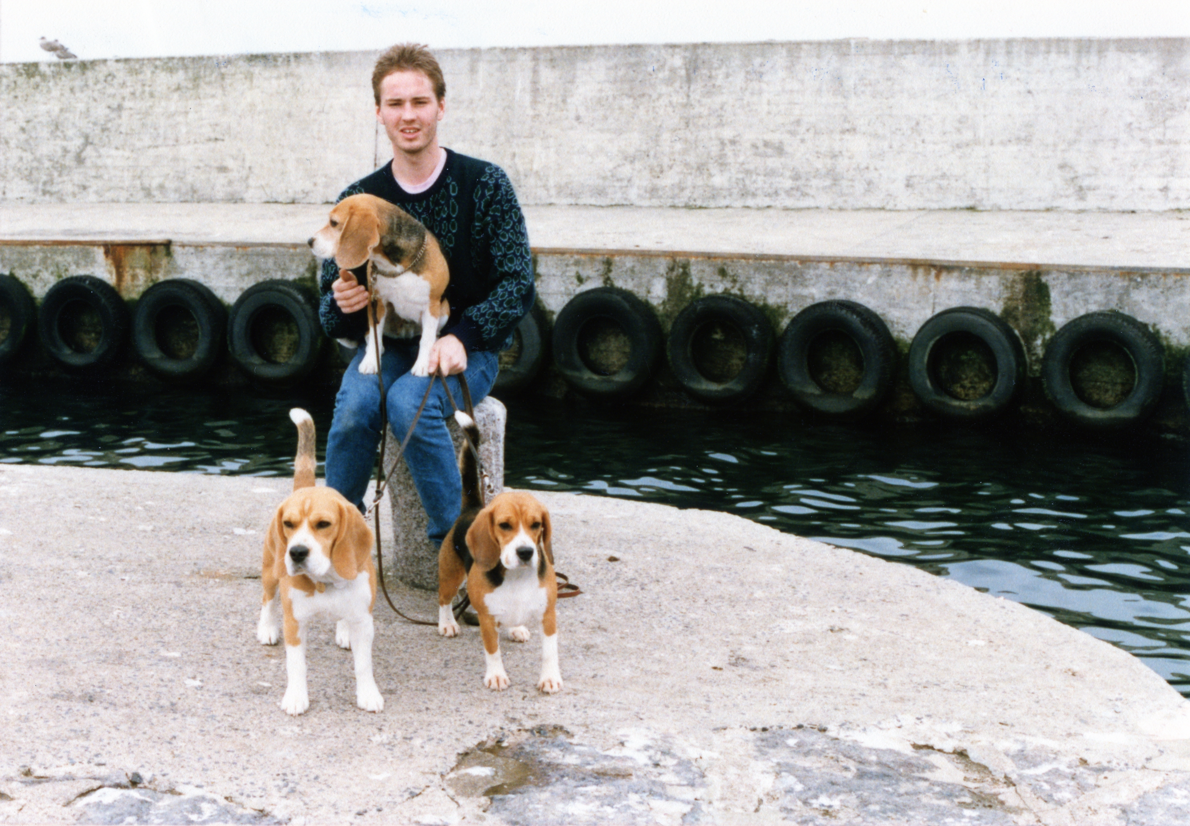 Bornholm July 1987. BOB 1 Daisy Hills Tyste Tusindfryd (middle), BOB 2 Daisy Hills Kyske Karoline (right) and BOB 4 Daisy Hills Bizarre Balthazar (left) - Judged by Nete Wunsch.jpg