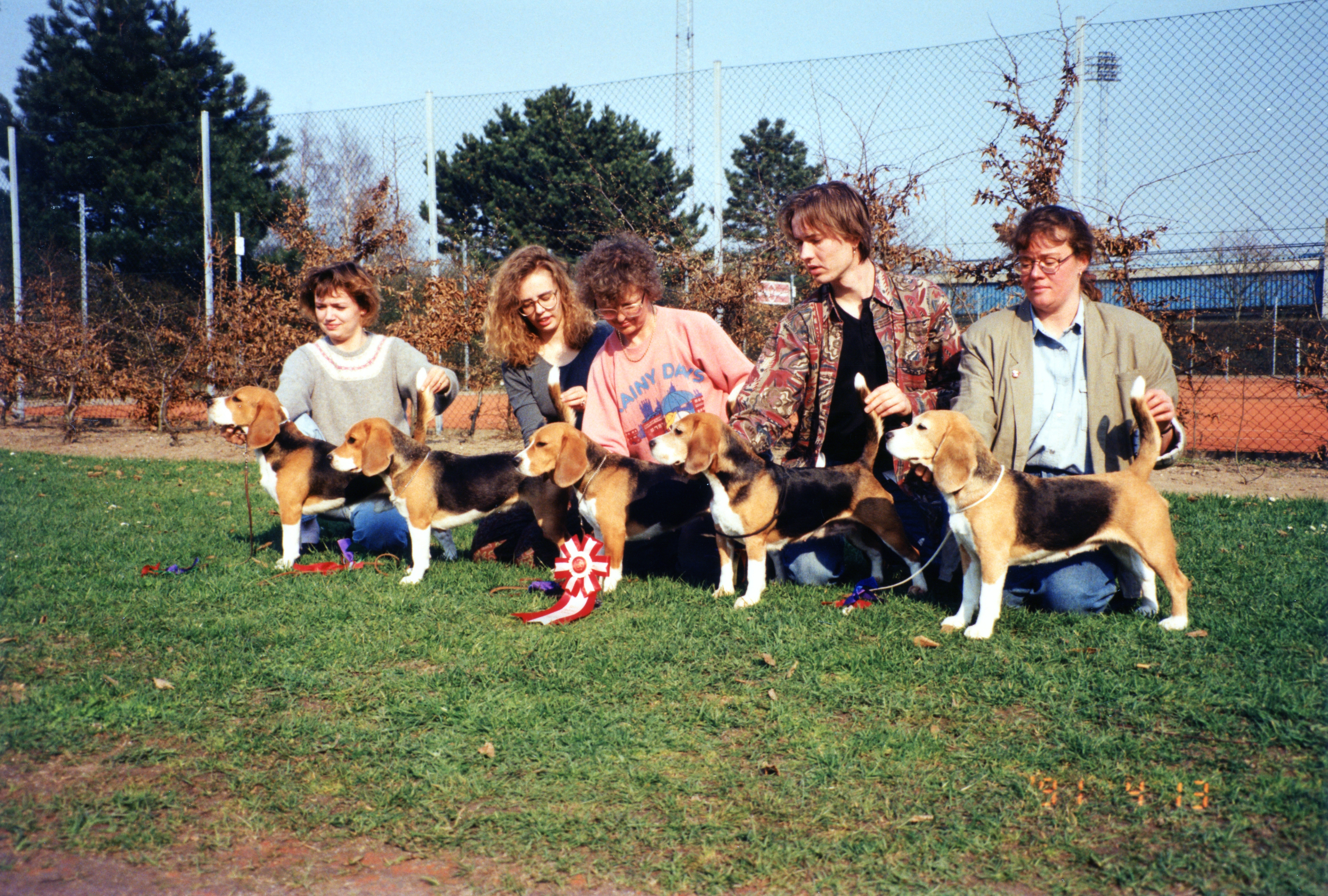 Best Breeders Class Vording 1991. Left to right, Daisy Hills Domino, Daisy Hills Dunja, Daisy Hills Dodotea, Daisy Hills Tusindfryd, Daisy Hills Bothilde, judged by I. C. Christensen.jpg