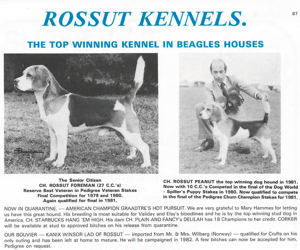 Rossut Kennels advert1.jpg