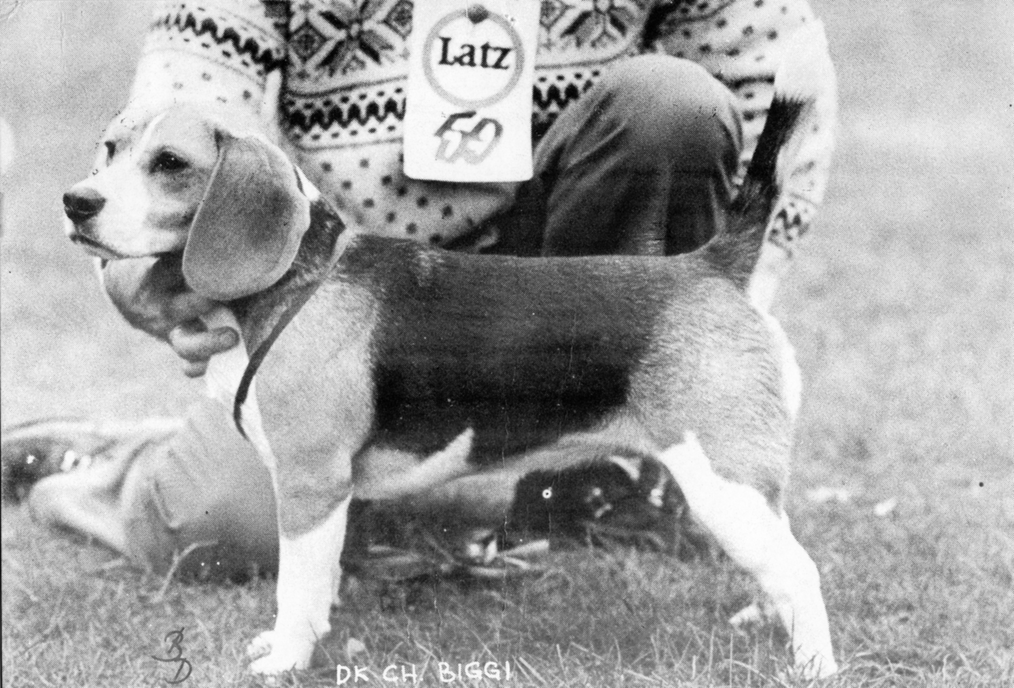 Biggi (about 1979).jpg