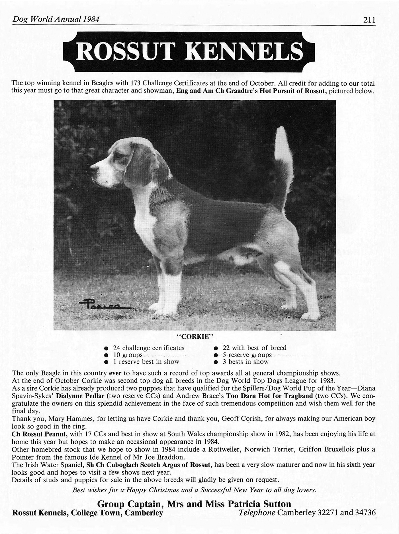 Rossut Kennels advert7.jpg