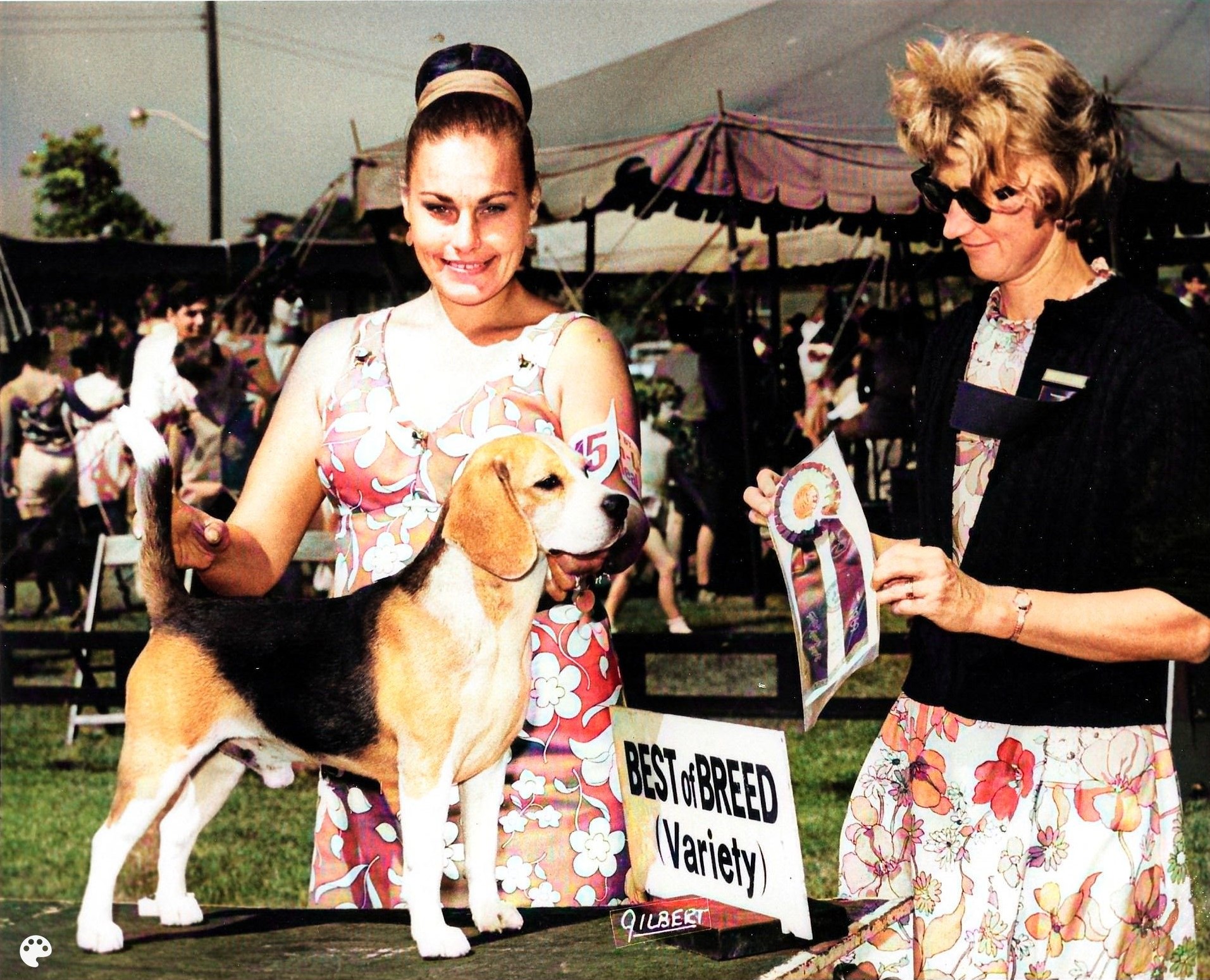 triple threat photo-Colorized.jpg
