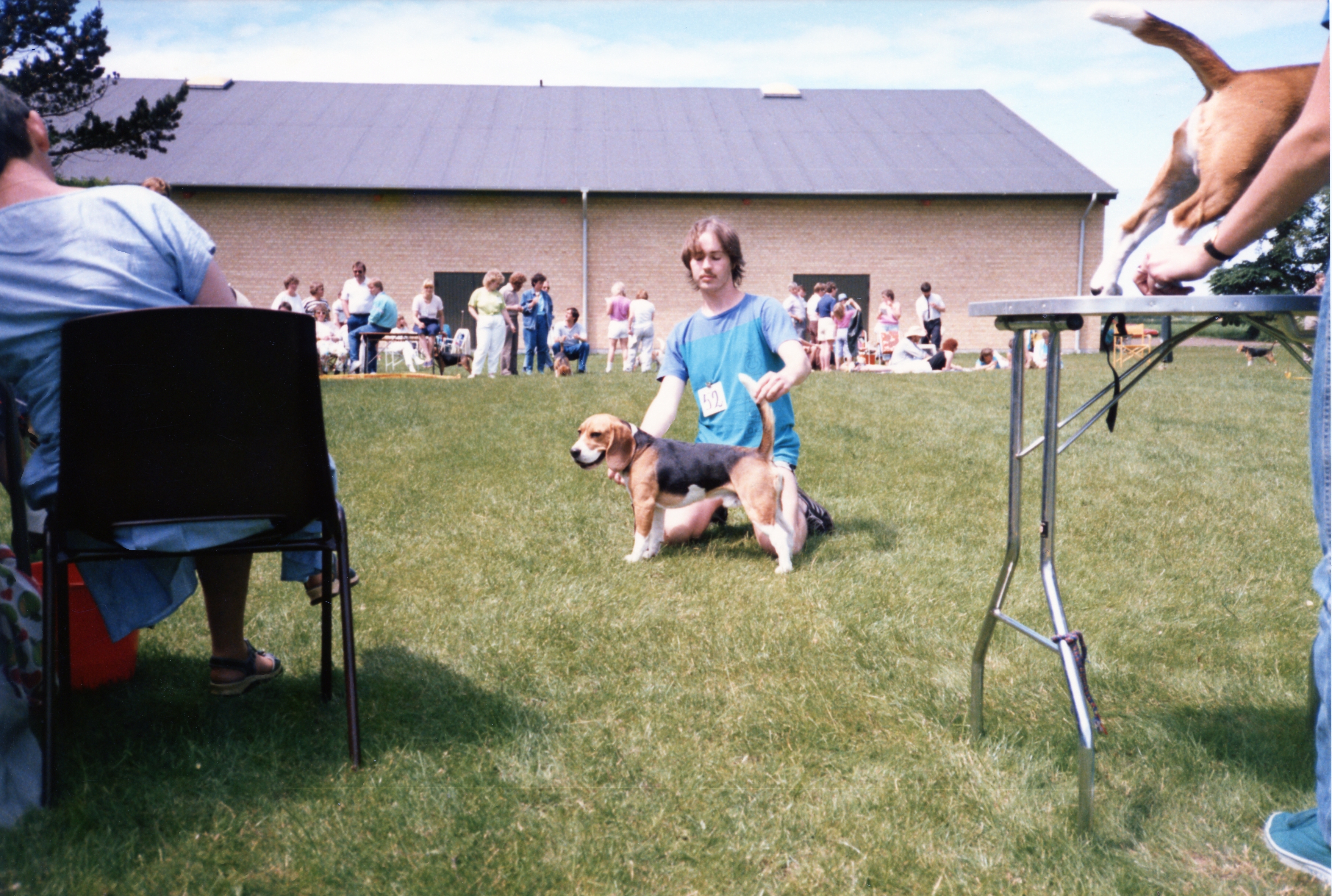 Daisy Hills Bramfri Bertram - 1986.jpg
