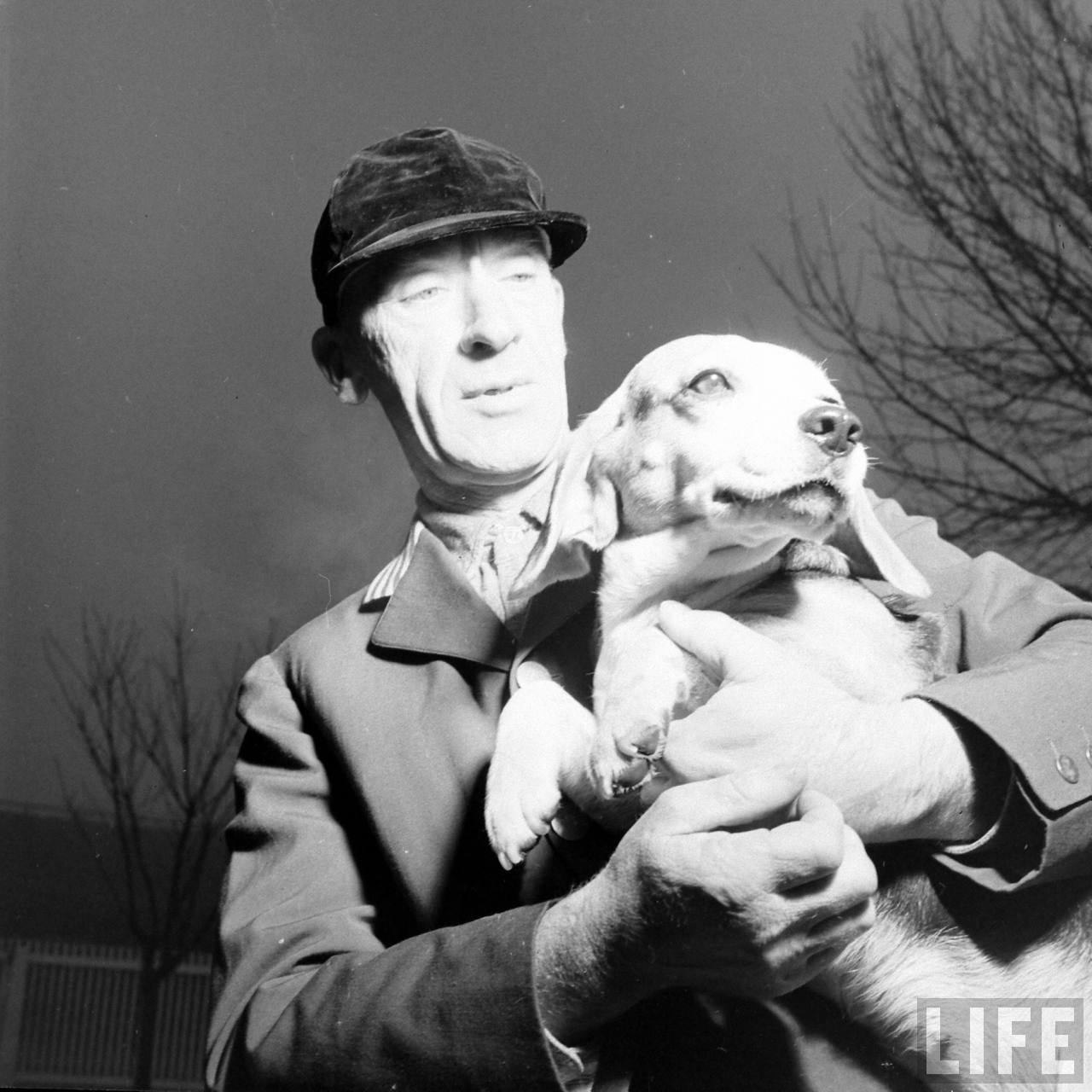 Beagle Hounds, Du Pont Estate - February 1940 - By Hansel Mieth, Life magazine - 39.jpg
