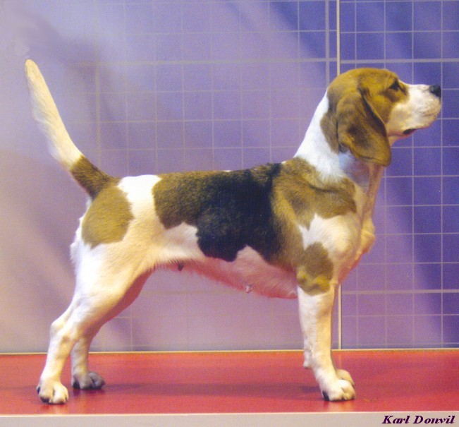 frankie_crufts_03.jpg