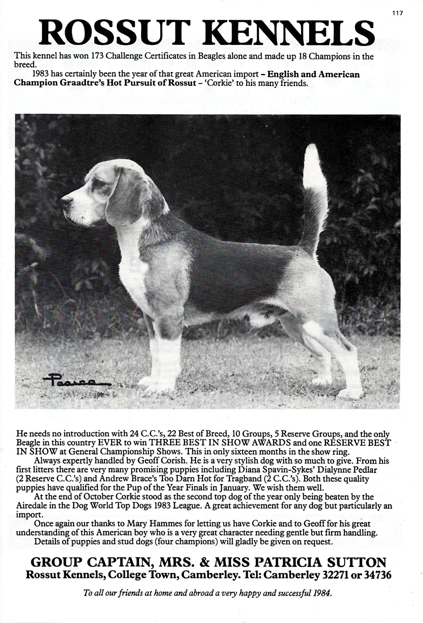 Rossut Kennels advert4.jpg