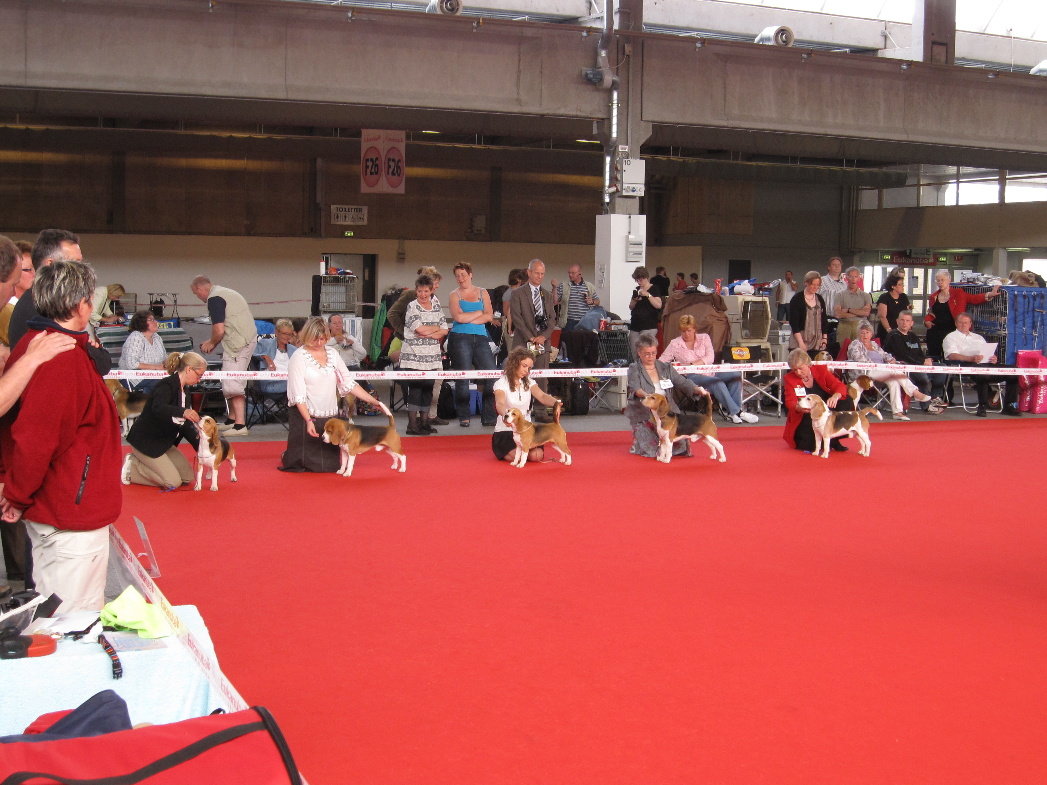 Best of Breed competition at WDS 2010 in Herning, Denmark