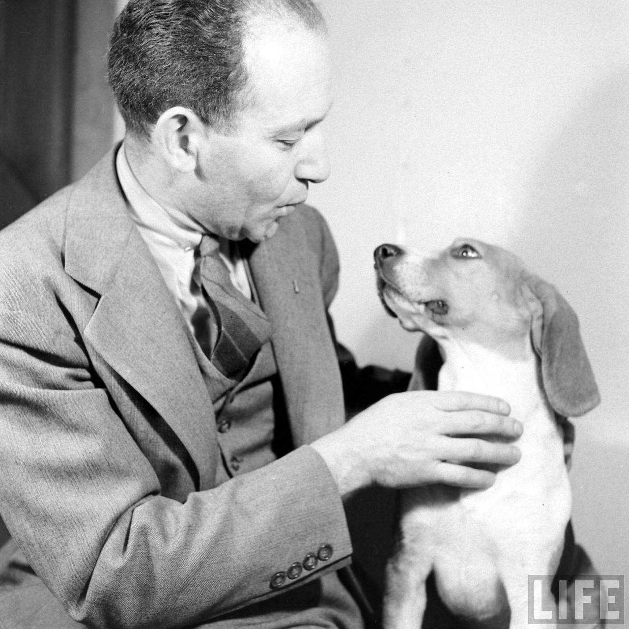 Beagle Hounds, Du Pont Estate - February 1940 - By Hansel Mieth, Life magazine - 27.jpg