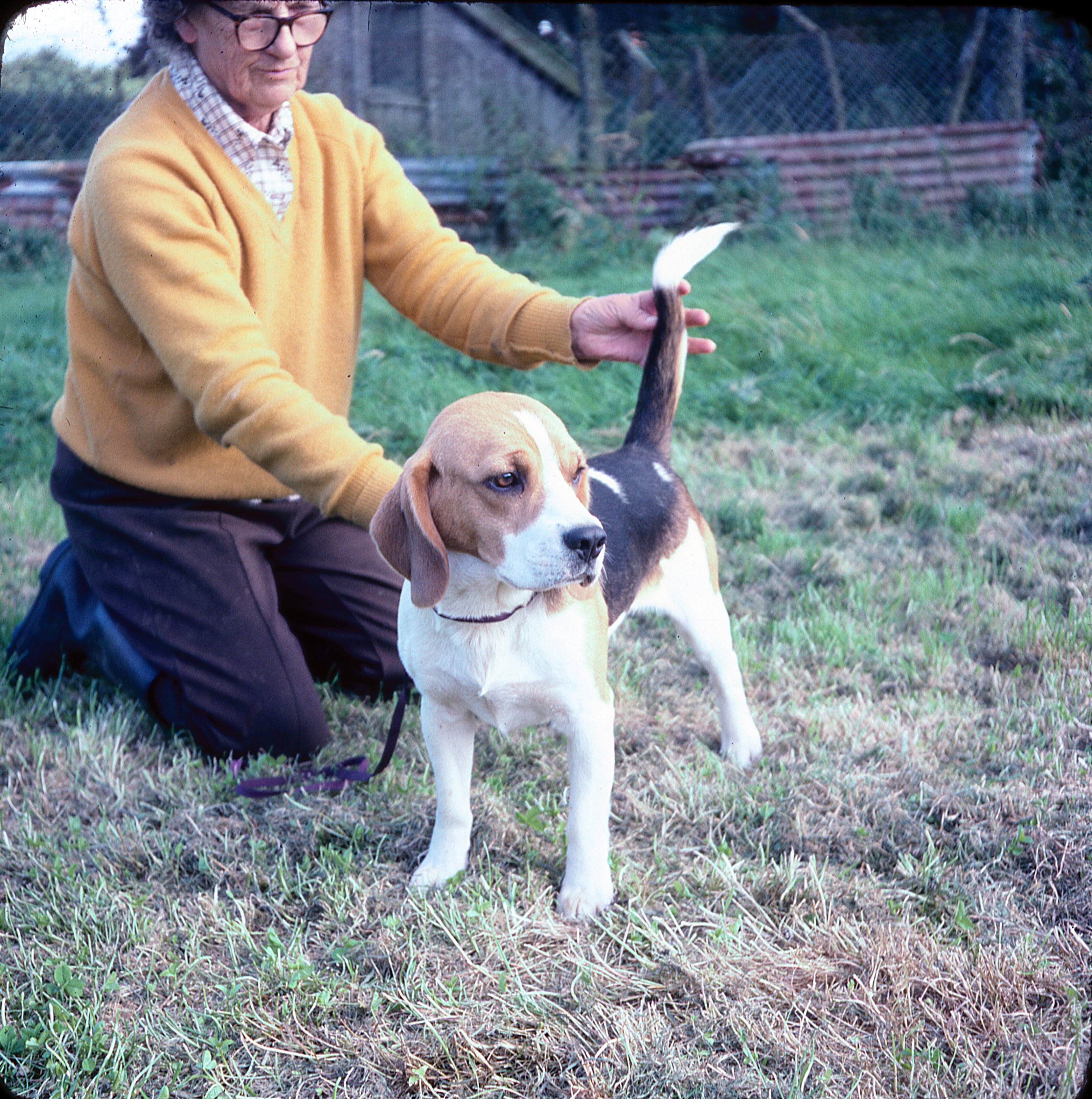 2 - Trewint Hugo.jpg