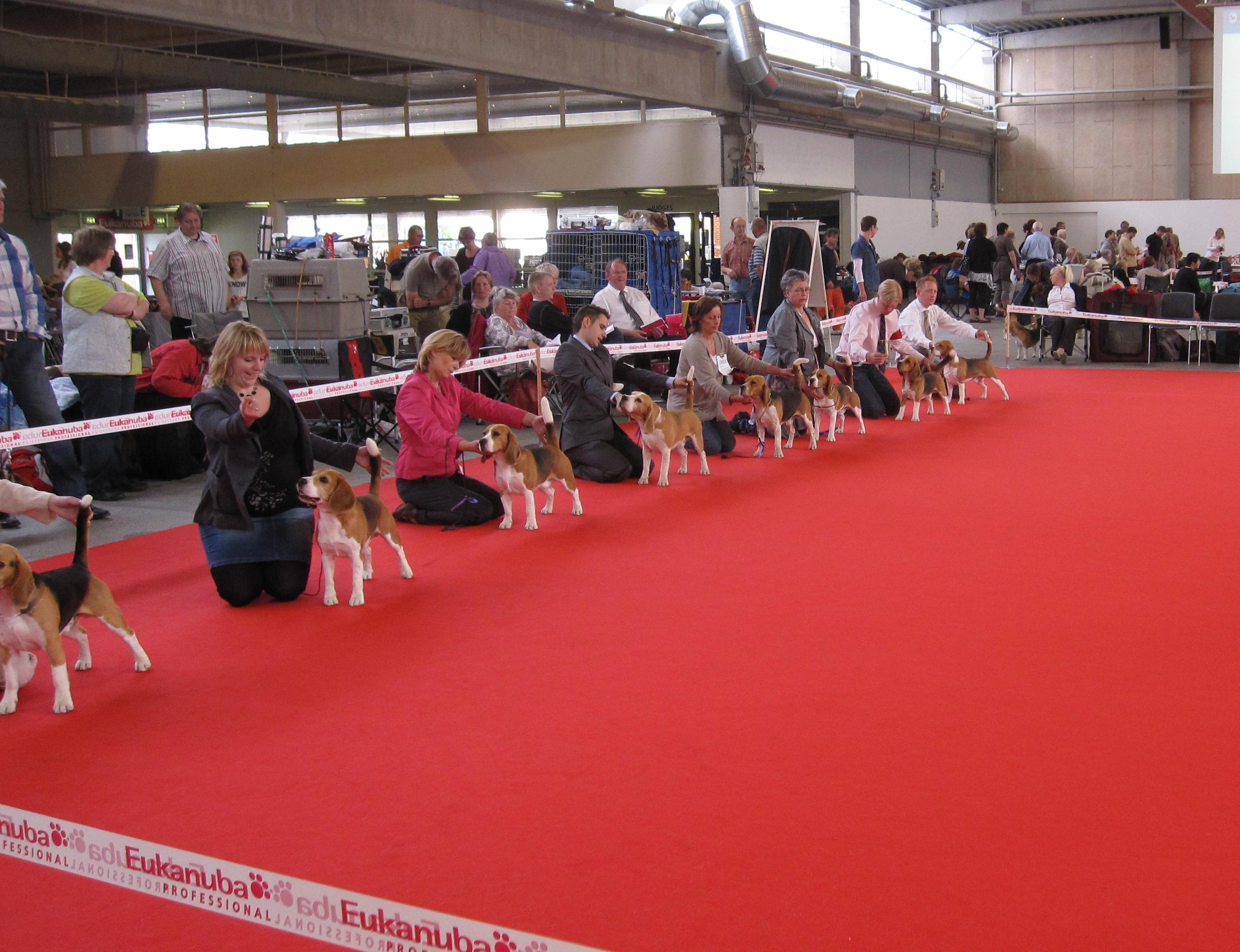 World Dog Show 2010 in Herning, Denmark