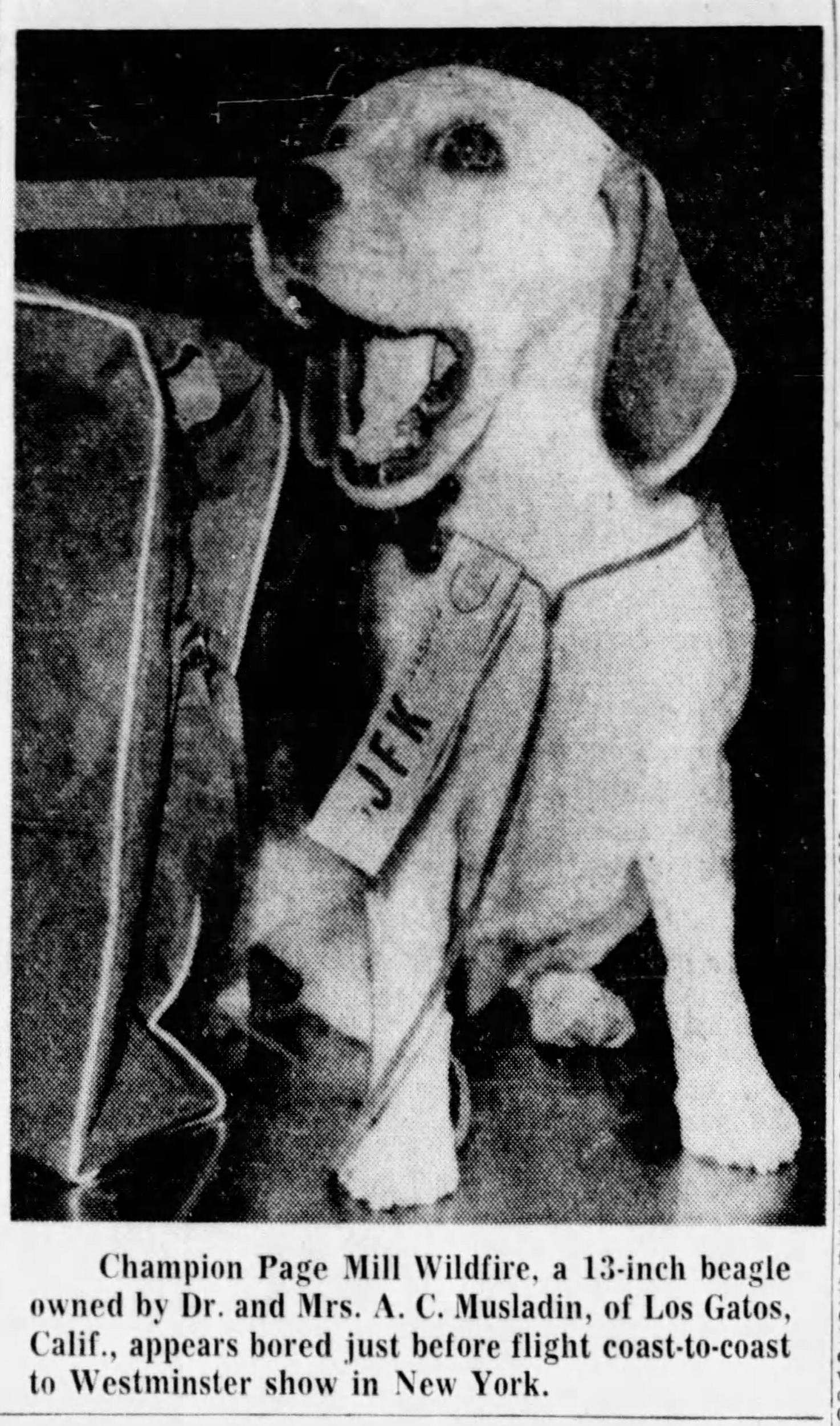 The_Philadelphia_Inquirer_Sun__Apr_4__1965_.jpg