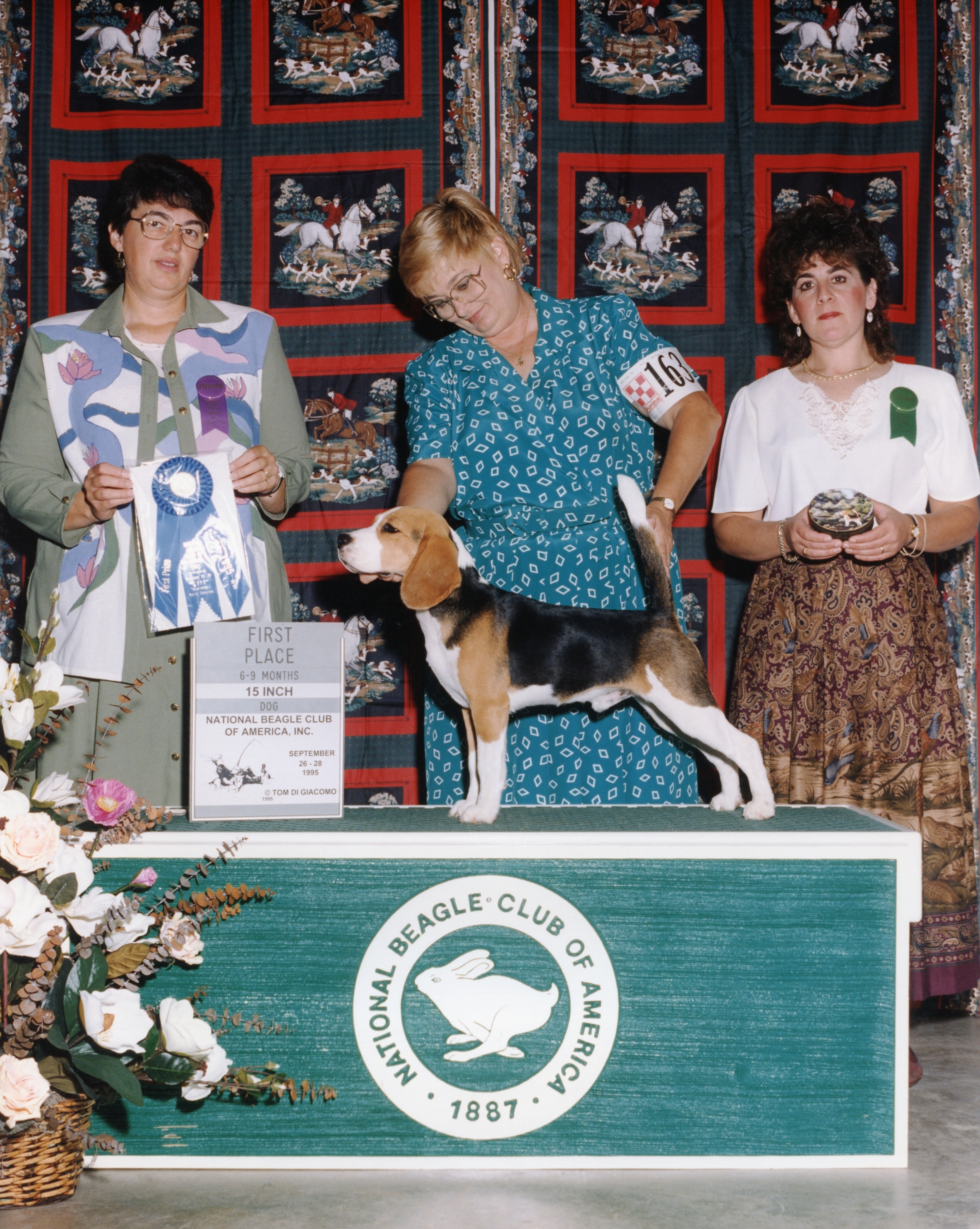 manahound scenter court.jpg