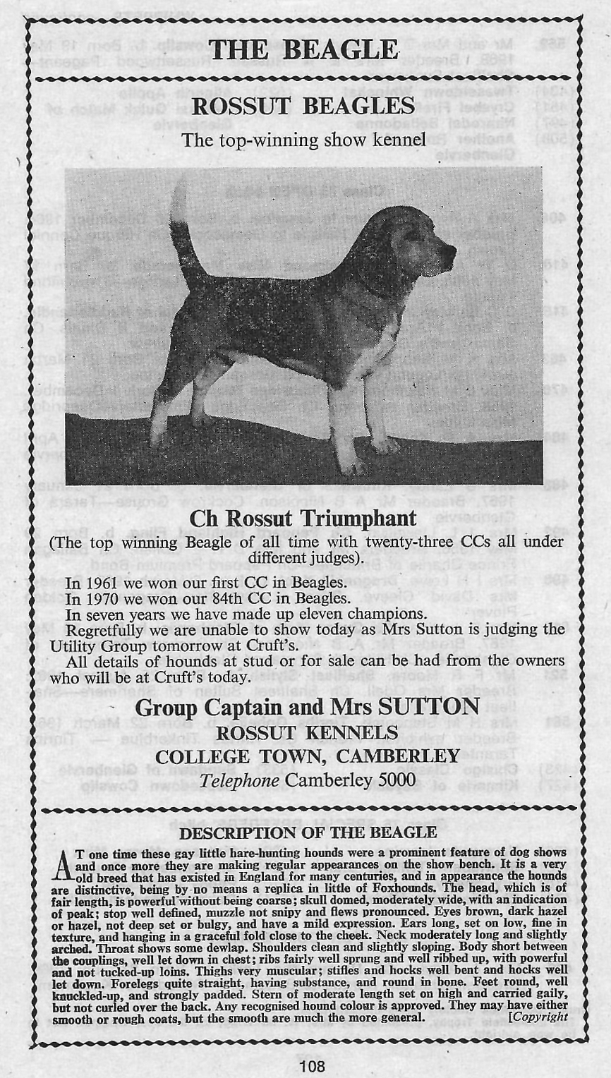 Rossut Kennels advert6.jpg